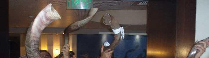 שופרות בכל הכוח